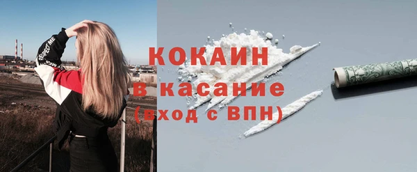 стафф Арсеньев