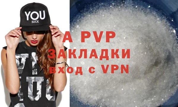 стафф Арсеньев