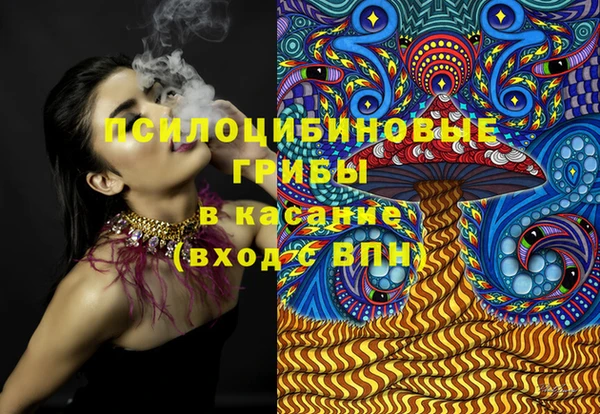 стафф Арсеньев