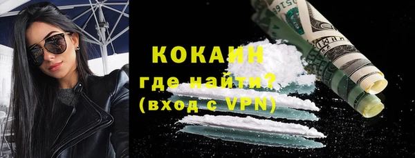 стафф Арсеньев