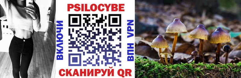 Псилоцибиновые грибы Psilocybe Бикин