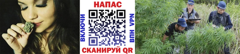 kraken ссылки  цена наркотик  Бикин  Конопля план 